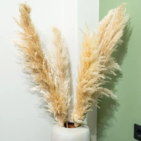 Gatheringthess- The Backyard Salonicco