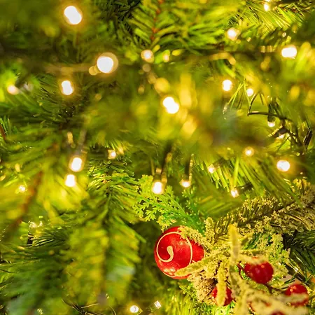 Gatheringthess- The Backyard Salonicco