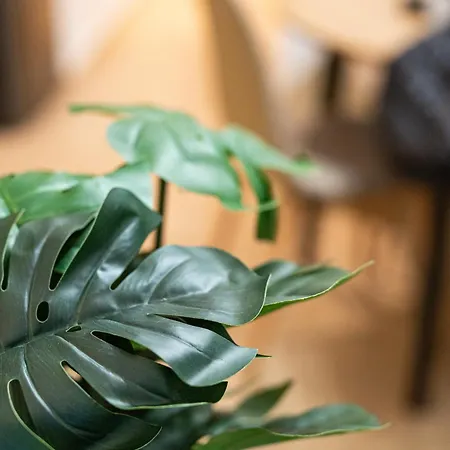 דירה Gatheringthess- The Backyard *