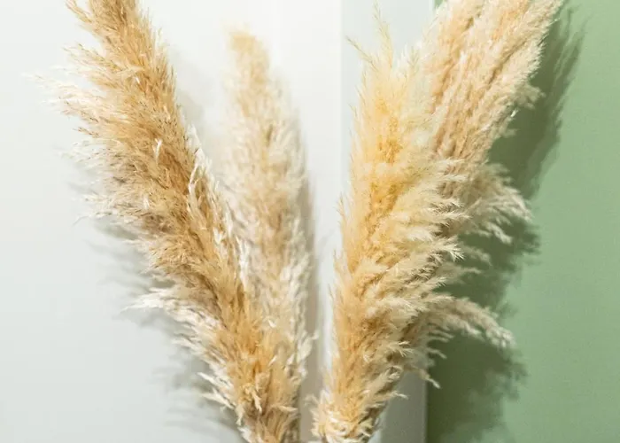 Gatheringthess- The Backyard Thessaloniki