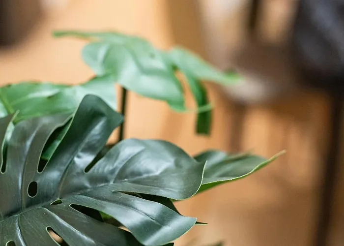 Apartment Gatheringthess- The Backyard *